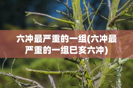 六冲最严重的一组(六冲最严重的一组巳亥六冲)