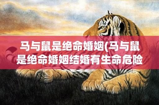 马与鼠是绝命婚姻(马与鼠是绝命婚姻结婚有生命危险吗)
