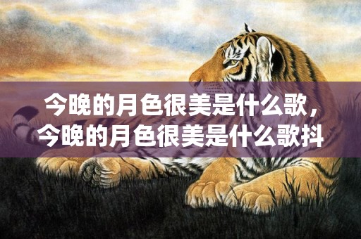 今晚的月色很美是什么歌，今晚的月色很美是什么歌抖音(抖音用的音乐太美了是什么歌)