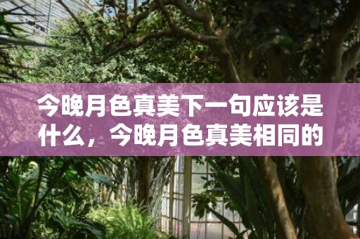 今晚月色真美下一句应该是什么，今晚月色真美相同的表白句子，含蓄表白句子