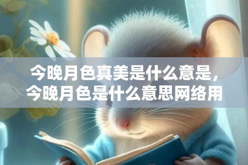 今晚月色真美是什么意是，今晚月色是什么意思网络用语 月色的意思