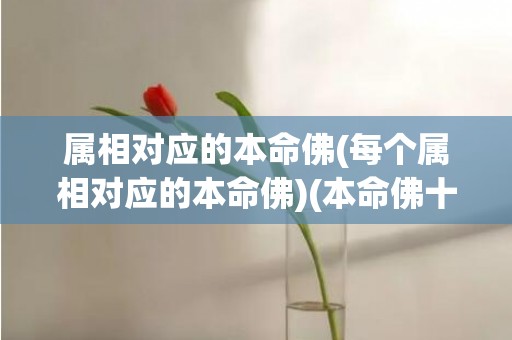 属相对应的本命佛(每个属相对应的本命佛)(本命佛十二生肖本命佛图片)