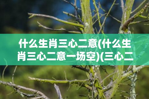 什么生肖三心二意(什么生肖三心二意一场空)(三心二意什么生肖最准确)