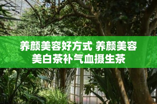 养颜美容好方式 养颜美容美白茶补气血摄生茶