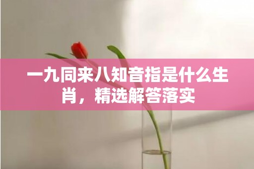 一九同来八知音指是什么生肖，精选解答落实