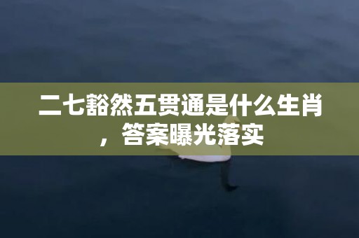 二七豁然五贯通是什么生肖，答案曝光落实