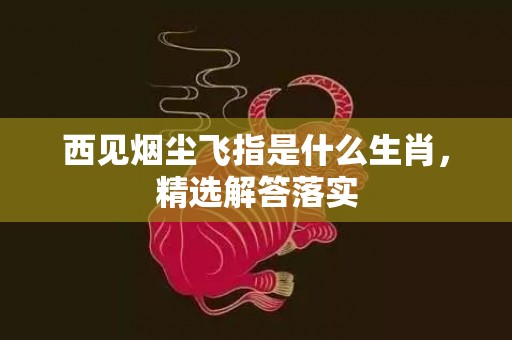 西见烟尘飞指是什么生肖，精选解答落实