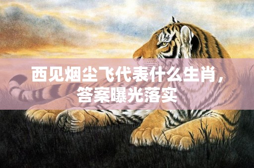 西见烟尘飞代表什么生肖，答案曝光落实
