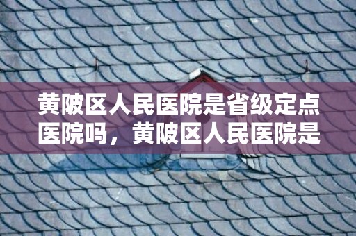 黄陂区人民医院是省级定点医院吗，黄陂区人民医院是三甲吗