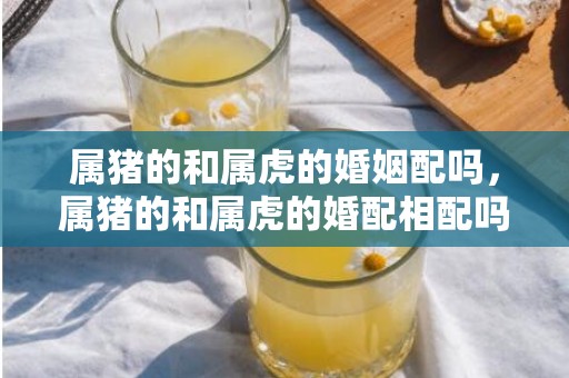 属猪的和属虎的婚姻配吗，属猪的和属虎的婚配相配吗