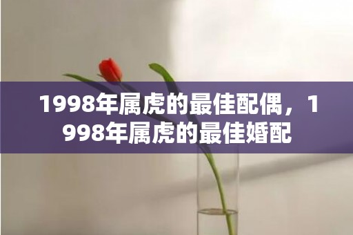 1998年属虎的最佳配偶，1998年属虎的最佳婚配