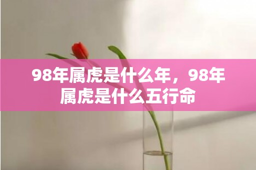 98年属虎是什么年，98年属虎是什么五行命
