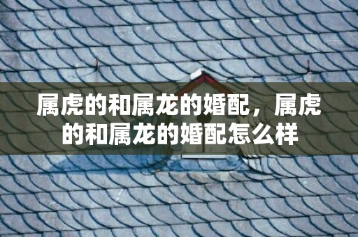 属虎的和属龙的婚配，属虎的和属龙的婚配怎么样