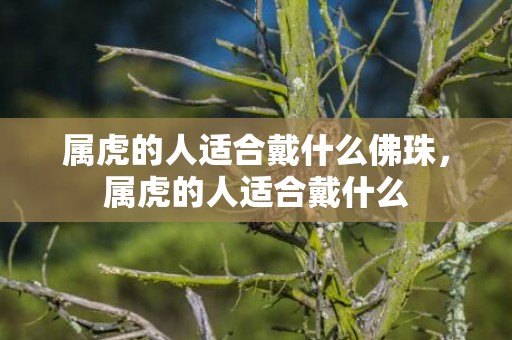 属虎的人适合戴什么佛珠，属虎的人适合戴什么