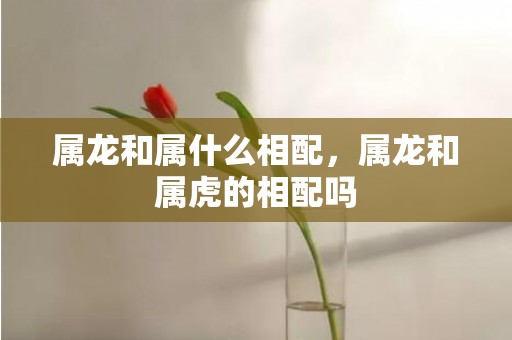 属龙和属什么相配，属龙和属虎的相配吗