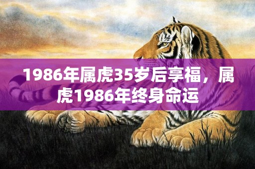 1986年属虎35岁后享福，属虎1986年终身命运