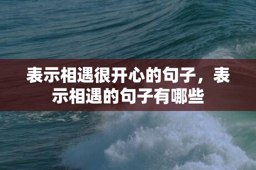 表示相遇很开心的句子，表示相遇的句子有哪些