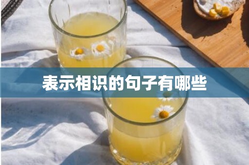 表示相识的句子有哪些