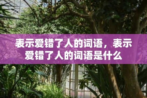 表示爱错了人的词语，表示爱错了人的词语是什么
