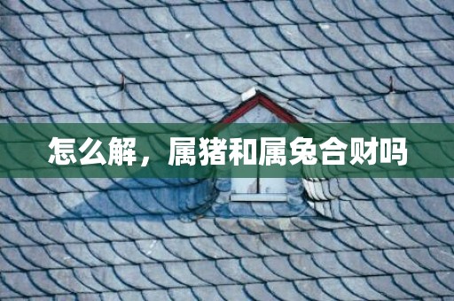 怎么解，属猪和属兔合财吗