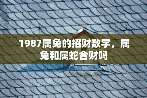 1987属兔的招财数字，属兔和属蛇合财吗