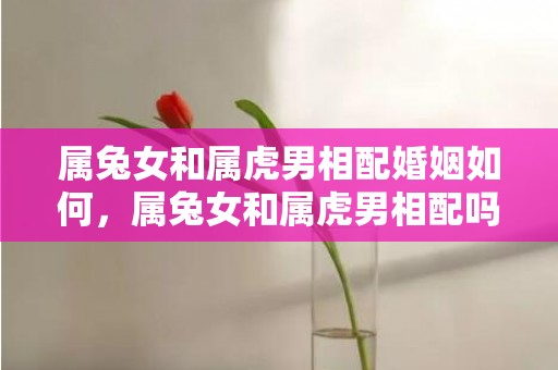 属兔女和属虎男相配婚姻如何，属兔女和属虎男相配吗