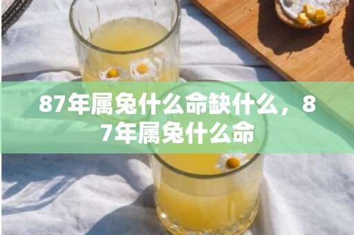 87年属兔什么命缺什么，87年属兔什么命