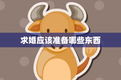 求婚应该准备哪些东西