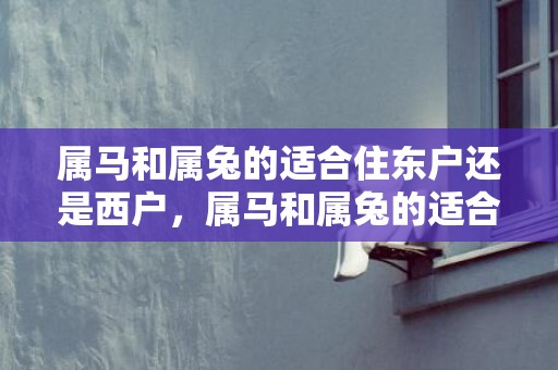 属马和属兔的适合住东户还是西户，属马和属兔的适合做夫妻吗