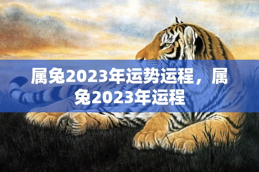 属兔2023年运势运程，属兔2023年运程