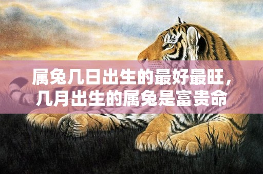 属兔几日出生的最好最旺，几月出生的属兔是富贵命