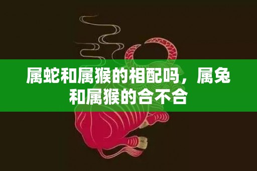 属蛇和属猴的相配吗，属兔和属猴的合不合