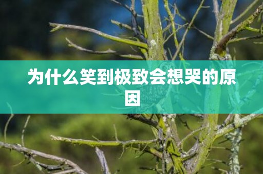 为什么笑到极致会想哭的原因