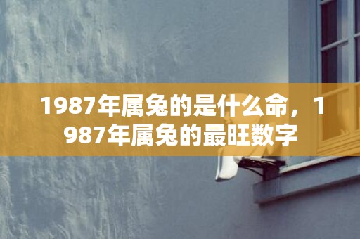 1987年属兔的是什么命，1987年属兔的最旺数字