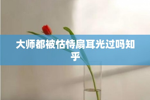 大师都被怙恃扇耳光过吗知乎