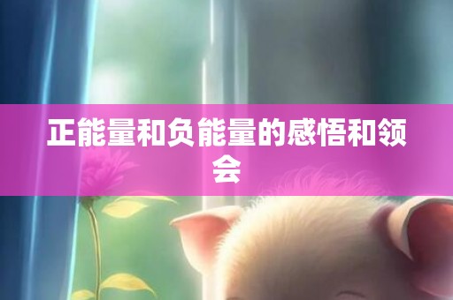 正能量和负能量的感悟和领会