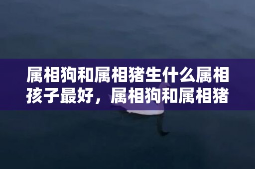 属相狗和属相猪生什么属相孩子最好，属相狗和属相猪在一起的注意事项是什么