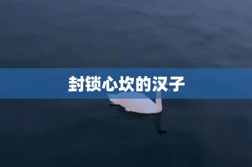 封锁心坎的汉子