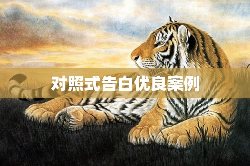 对照式告白优良案例