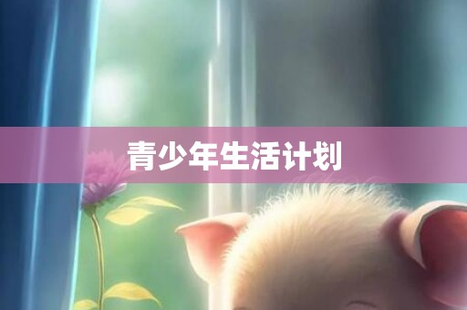 青少年生活计划