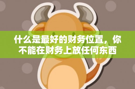 什么是最好的财务位置，你不能在财务上放任何东西