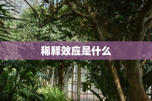 稀释效应是什么