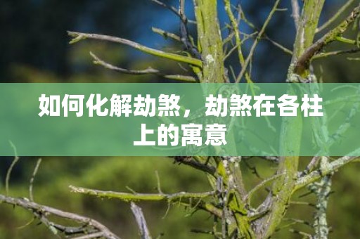 如何化解劫煞，劫煞在各柱上的寓意