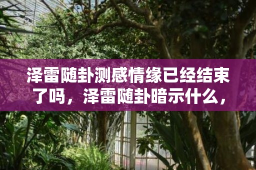泽雷随卦测感情缘已经结束了吗，泽雷随卦暗示什么，