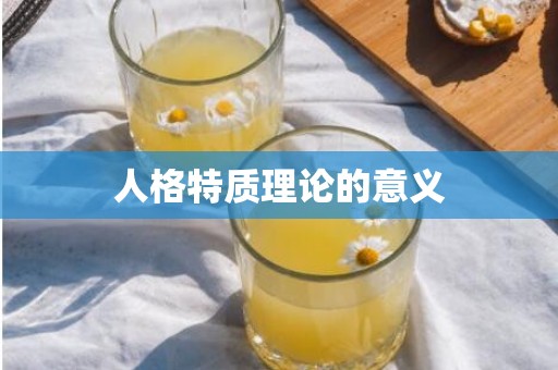 人格特质理论的意义