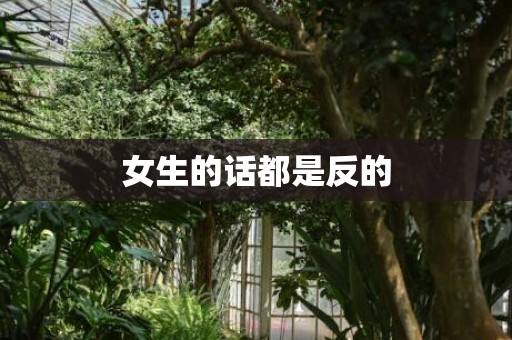 女生的话都是反的