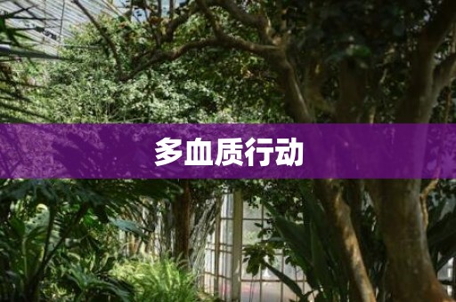 多血质行动
