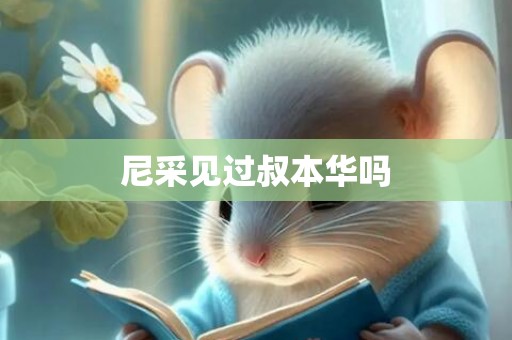 尼采见过叔本华吗