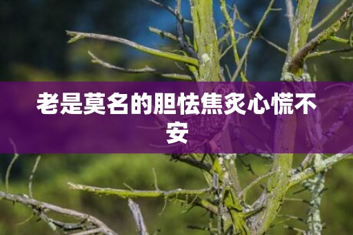 老是莫名的胆怯焦炙心慌不安