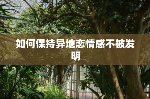 如何保持异地恋情感不被发明